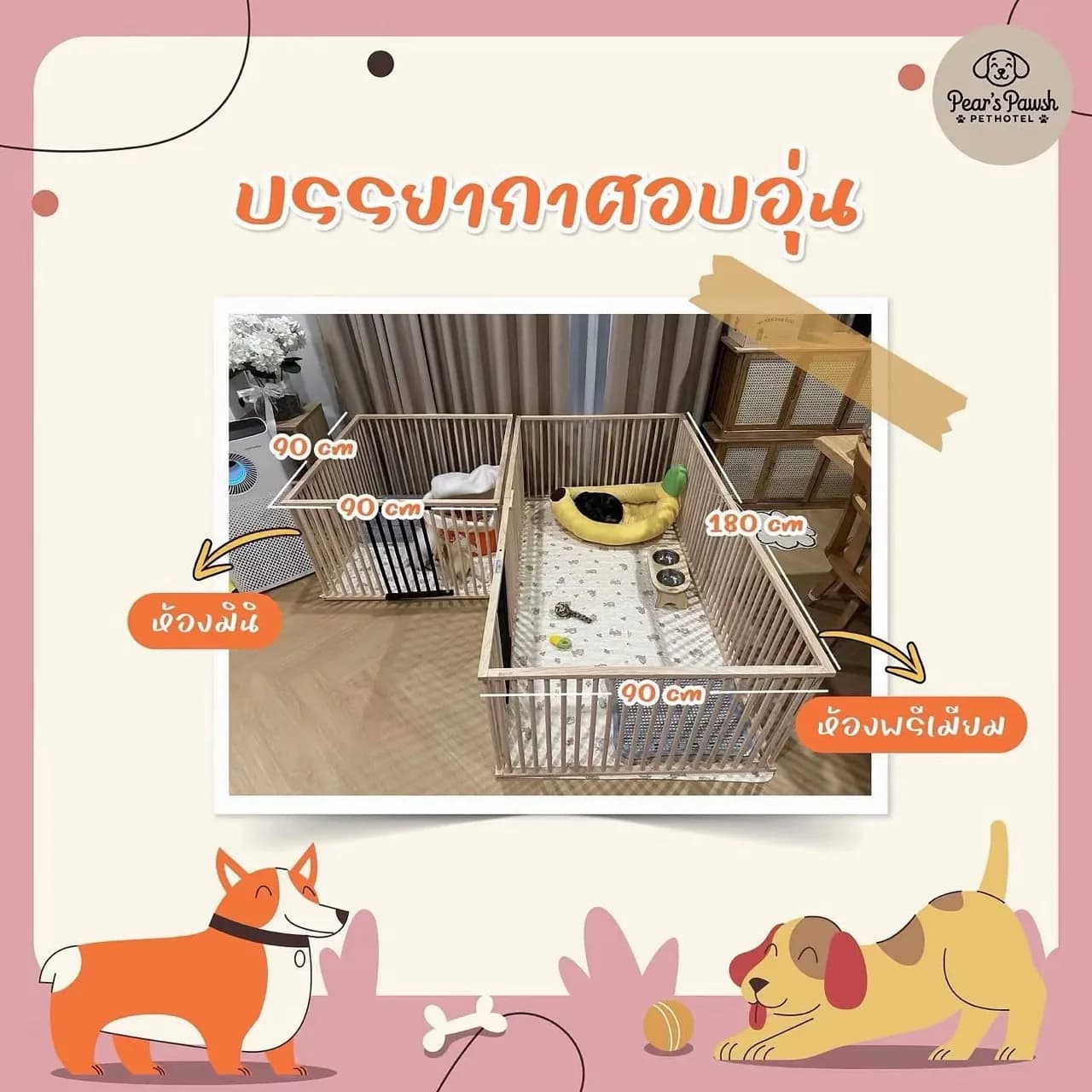 ห้องมินิ (90 × 90 ซม.) และห้องพรีเมียม (90 × 180 ซม.) ห้องไม้โปร่ง มีที่นอนนุ่ม ชามอาหาร และเครื่องฟอกอากาศ